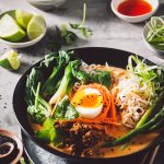 RED CURRY PORK NOODLES